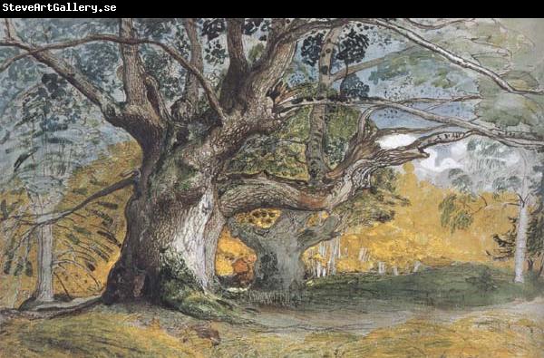 Samuel Palmer Oak Trees,Lullingstone Park